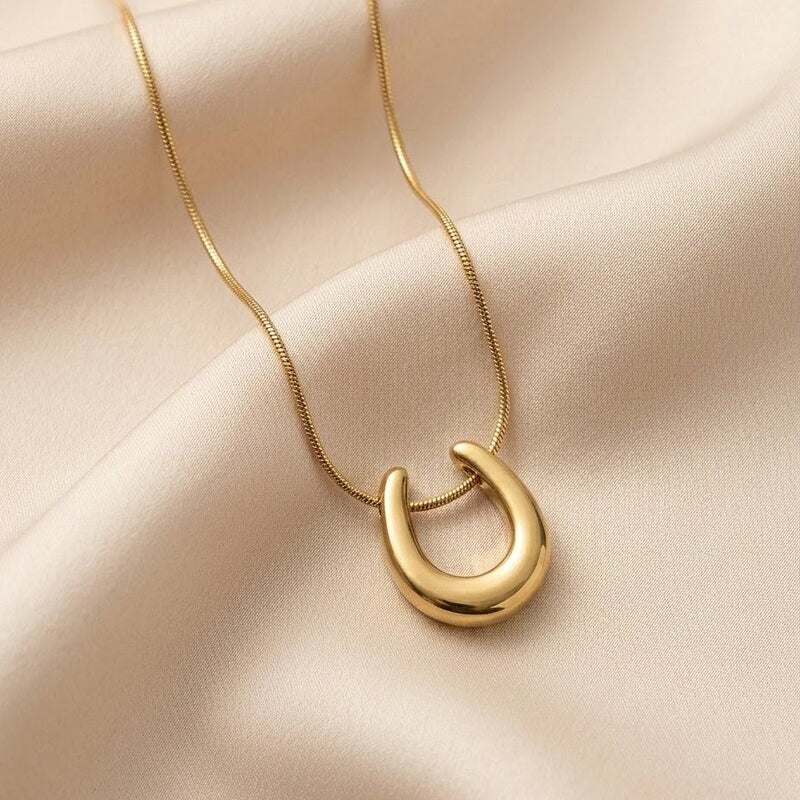 Horseshoe Lucky Charm Necklace