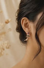 Tropical Bird Rose Gold Silver 925 Earrings